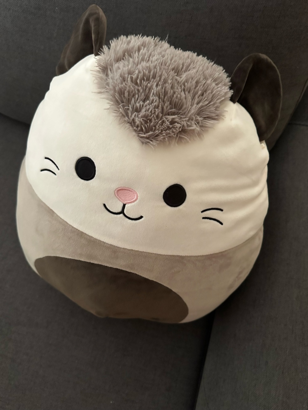 Squishmallows Luanne the Possum Stuffed Plush